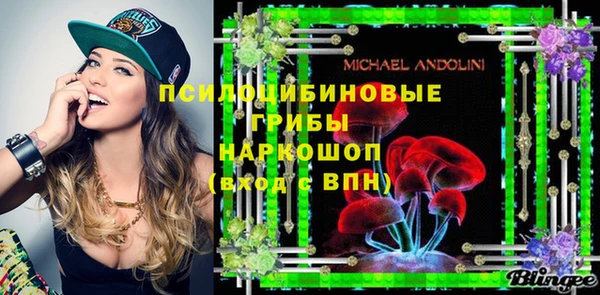 шишки Алексеевка