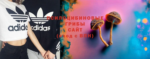 СК Алзамай
