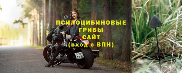 мяу мяу мука Рославль