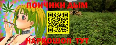 jwh Бийск