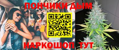 jwh Бийск