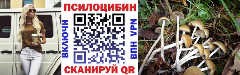 продажа наркотиков  блэк спрут ONION  Галлюциногенные грибы Magic Shrooms  Бугуруслан 